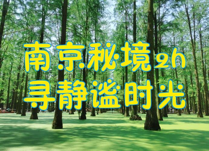 南京秘境2h 在云影光寻科技中，寻一段静谧时光