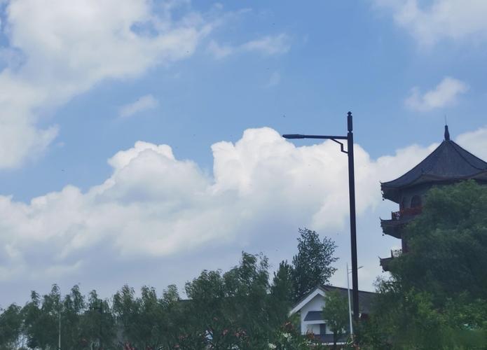 凭栏静观云影，轻咏竹枝词 在科技光影中寻回心灵的栖息地