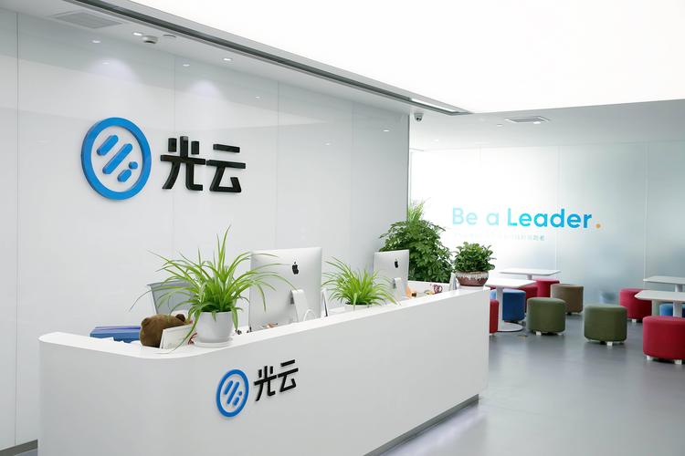 光云科技的增长之道 SaaS长期主义的价值与实践